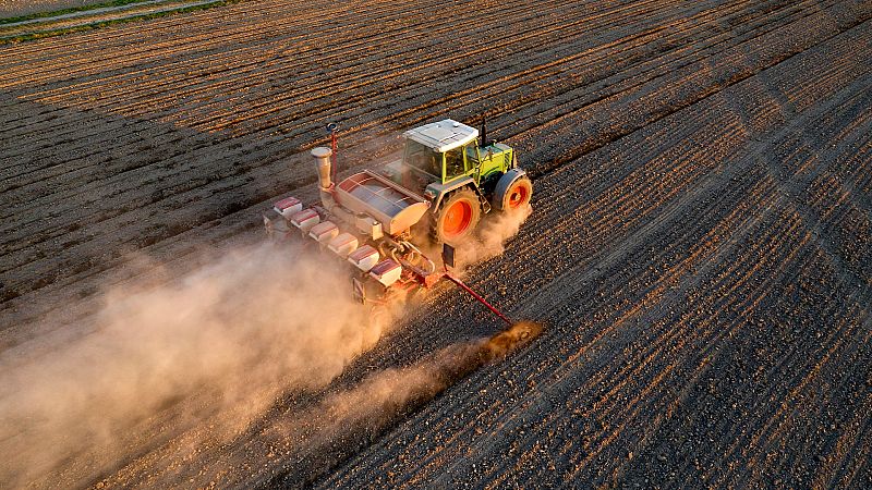 Sequía e inflación, la tormenta perfecta que golpea al sector agrario: "Habrá menos alimentos y serán más caros"