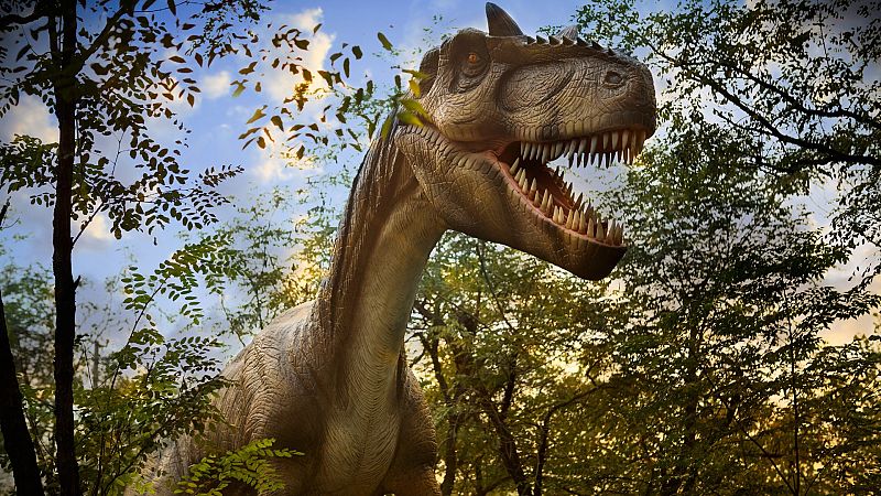 Estudian una gran roca con restos de un posible dinosaurio del Crétacico inferior