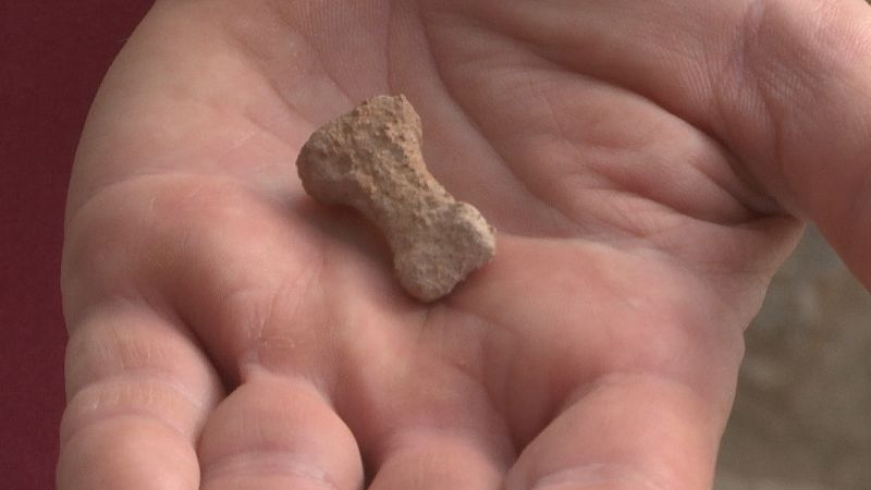 Un hueso de falange de más de 100.000 años, último hallazgo de la Sima de las Palomas