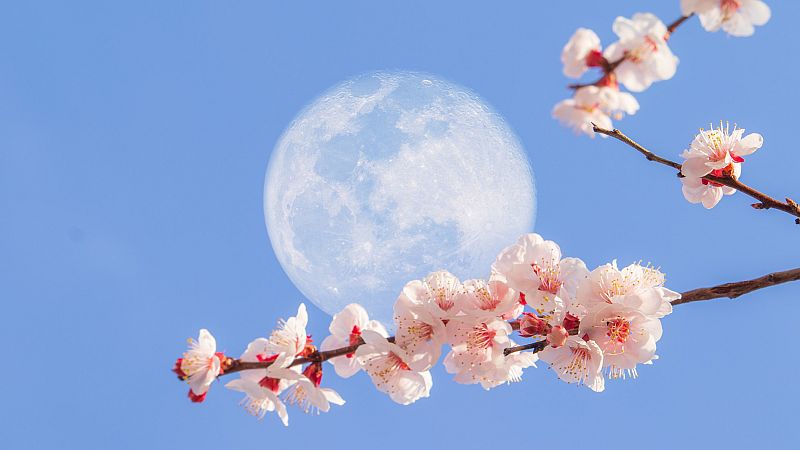 ¿Por qué a veces se ve la Luna de día?