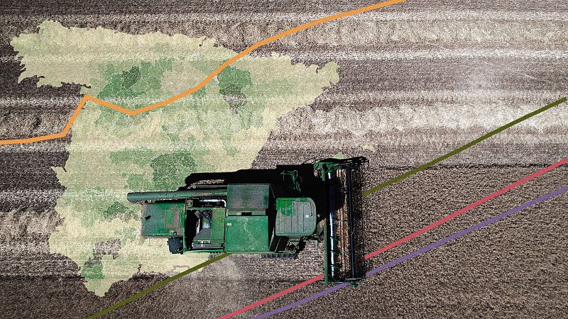 El mapa de la España agrícola, comarca a comarca: qué se cultiva y dónde