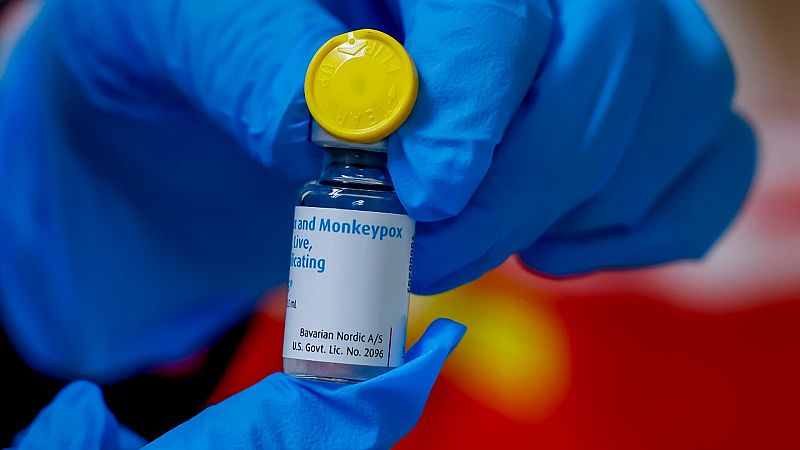 La OMS da nuevos nombres a las variantes de la viruela del mono