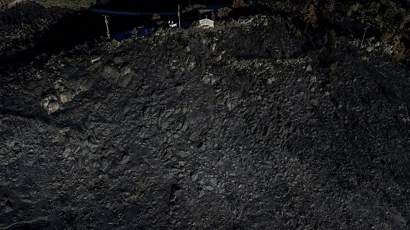 Resurgir de las cenizas: cómo recuperar los bosques tras los incendios