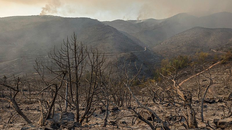 El Gobierno declara zona catastrófica los grandes incendios producidos en 15 comunidades autónomas