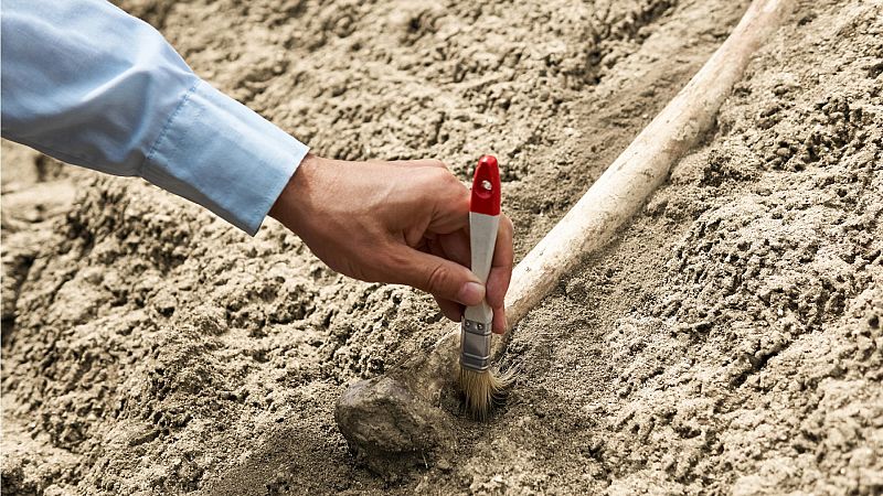 Un análisis óseo apunta a que los antepasados humanos caminaban sobre dos piernas hace 7 millones de años