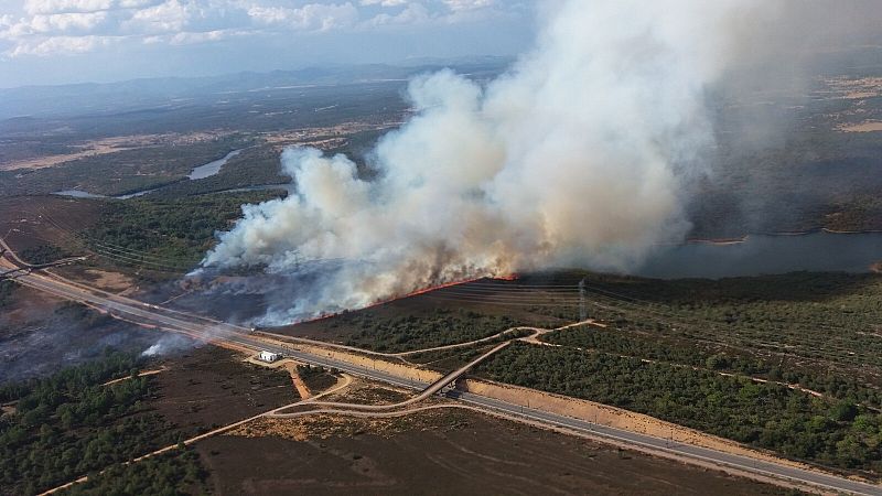 Un incendio forestal en Zamora obliga a cortar durante varias horas la línea del AVE Madrid-Galicia