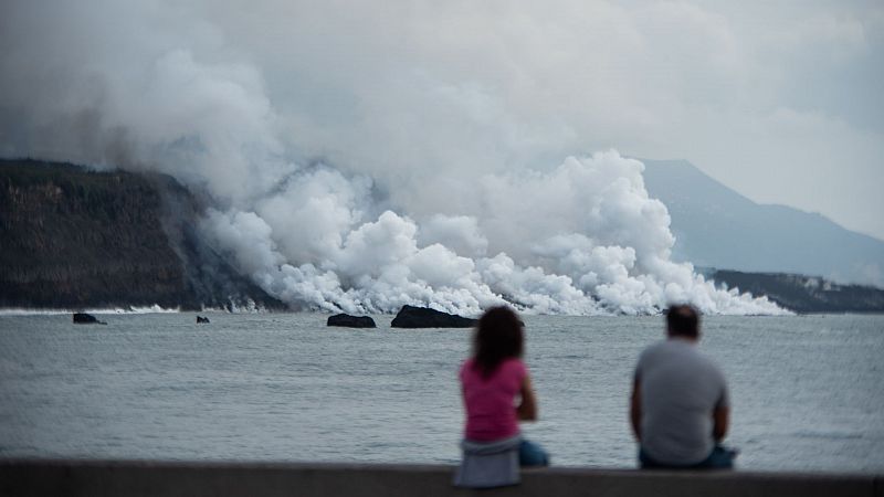 La vida resurge en el fondo marino de La Palma afectado por la erupcin: ser un paraso para bucear