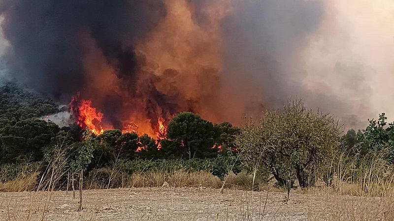 Estabilizado el incendio forestal de Jumilla, en Murcia, con una superficie quemada de 410 hectáreas