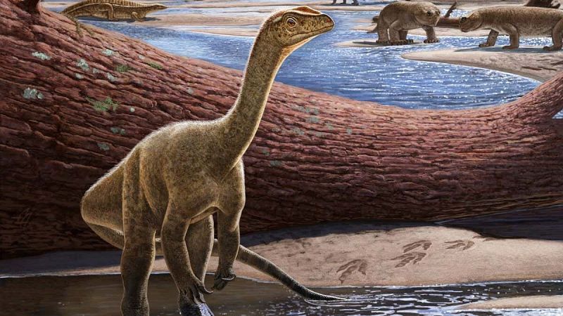 Descubren los restos de dinosaurio más antiguos de África