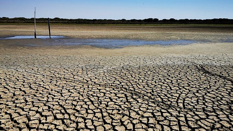 Un pequeño charco al que ya no acuden aves: desaparece la laguna más grande de Doñana por la sequía