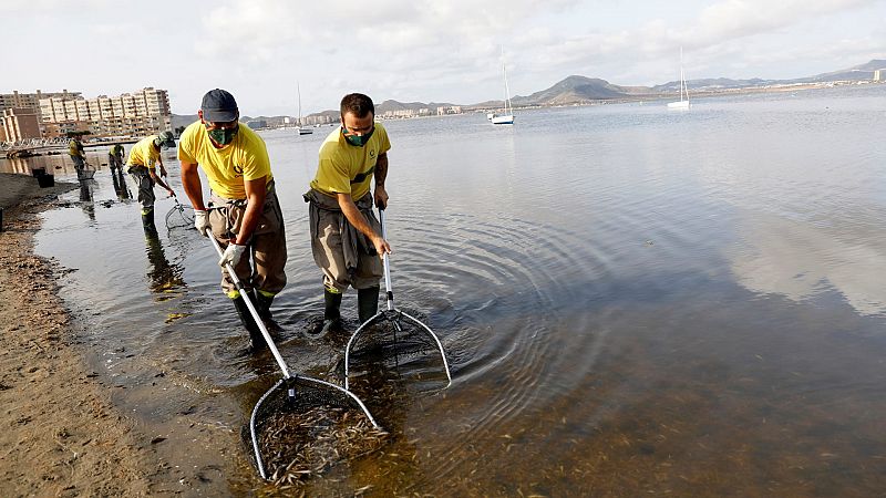 El Gobierno subvencionará la mejora del saneamiento y la depuración de los municipios del Mar Menor