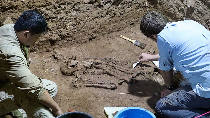 Los orígenes de la cirugía: la amputación quirúrgica más antigua se realizó a un niño hace 31.000 años
