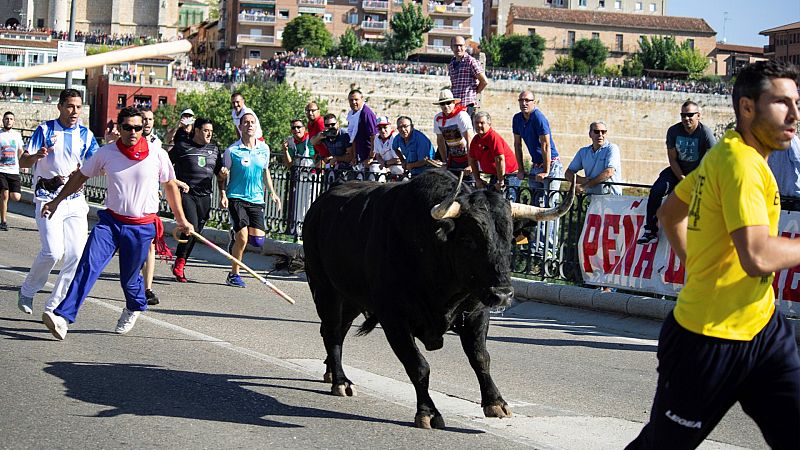 El Gobierno solicita a la Fiscalía que paralice el Toro de la Vega
