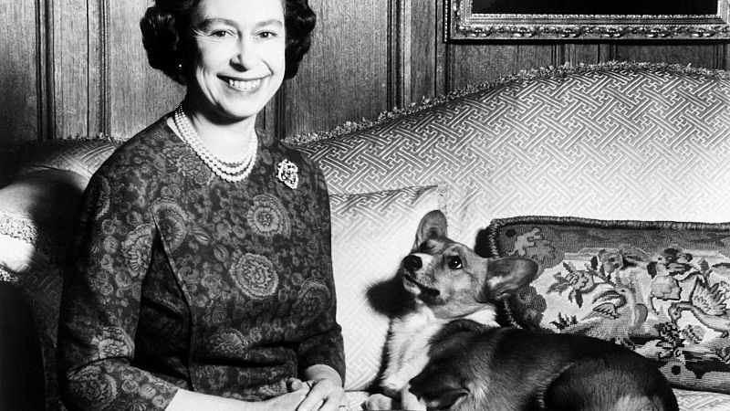 Ya sabemos quién se queda con los perros de Isabel II: un hijo y una exnuera