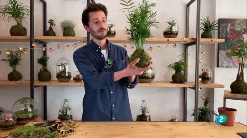 Com fer una kokedama? Segueix aquesta tècnica floral japonesa en 4 passos