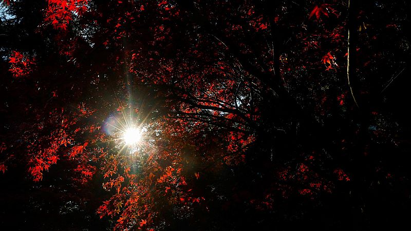 Comienza un otoño más cálido y seco de lo normal tras el verano más sofocante de los últimos 61 años