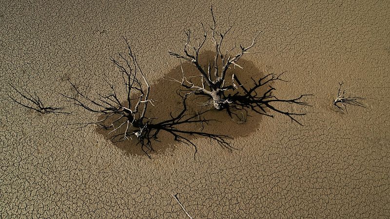 La UE advierte que habrá sequías extremas "casi cada año" en 2043 si no se toman medidas contra el cambio climático
