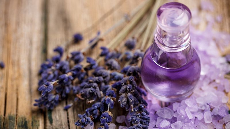 Lavanda: aprende a utilizarla para casi todo