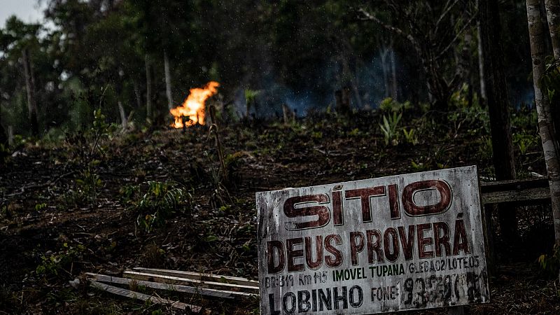 El legado ambiental de Bolsonaro: la deforestación de la Amazonia alcanza su nivel más alto en 15 años