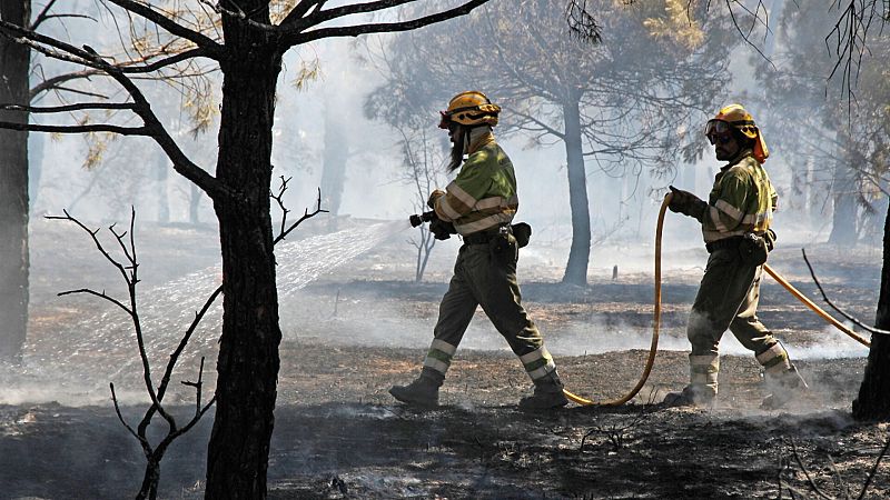 Trabajadores de incendios forestales de CyL protestan ante el Parlamento autonómico: "Más bomberos, menos consejeros"