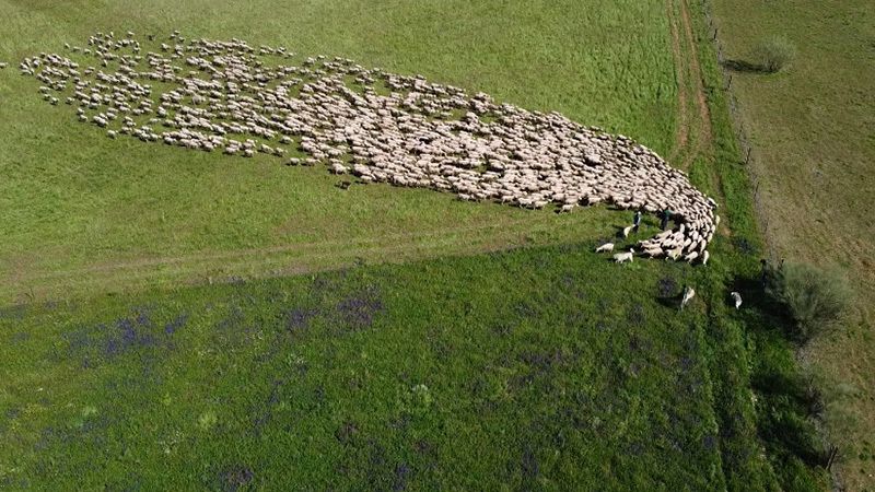 Vuelve 'El escarabajo verde', el programa decano de ecología y medioambiente de La 2