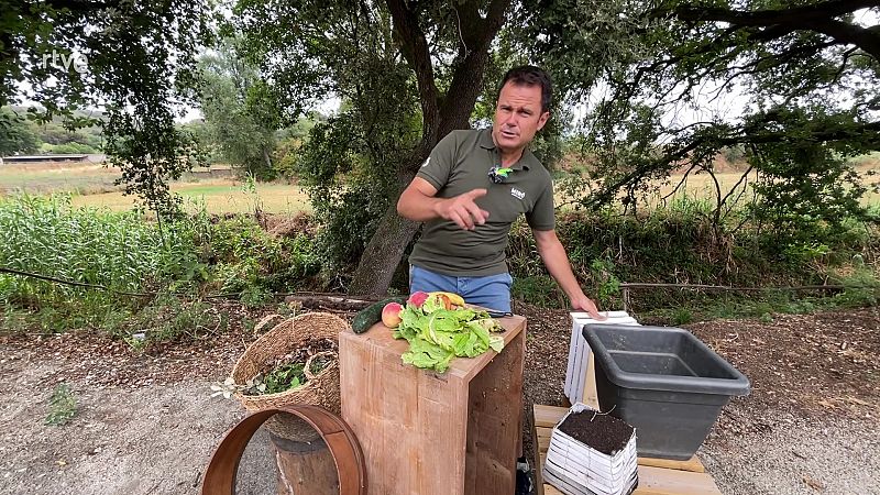 Aprèn a fer compost per a les teves plantes