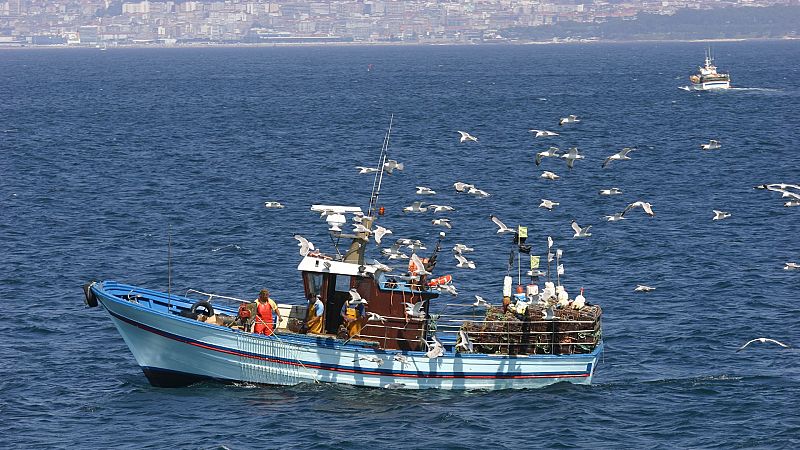 Entra en vigor el veto europeo a la pesca de fondo entre críticas y dudas sobre su aplicación