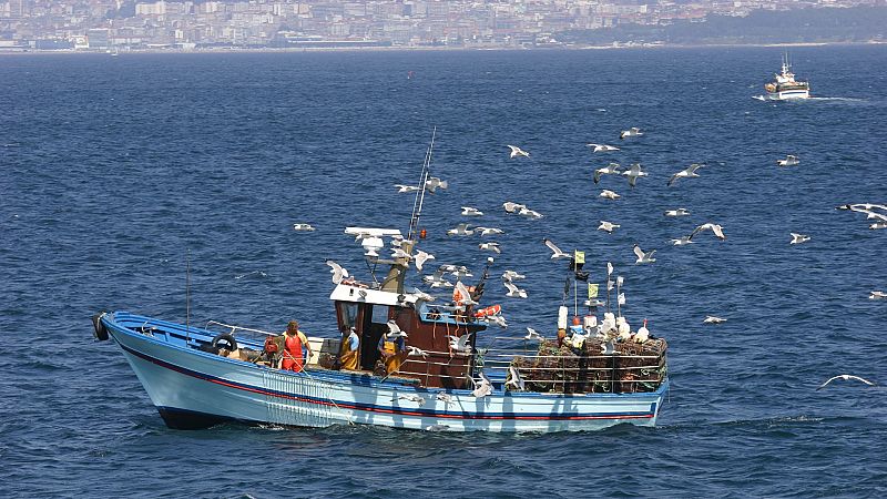 Entra en vigor el veto europeo a la pesca de fondo entre críticas y dudas sobre su aplicación