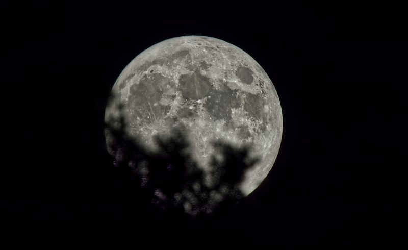 Imatges de la primera lluna plena de la tardor i les dracònides