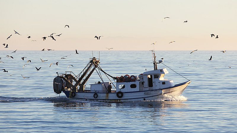 ¿Pescaremos mañana?, la resiliencia de la pesca artesanal, en duda