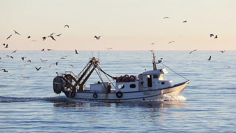 ¿Pescaremos mañana?, la resiliencia de la pesca artesanal, en duda