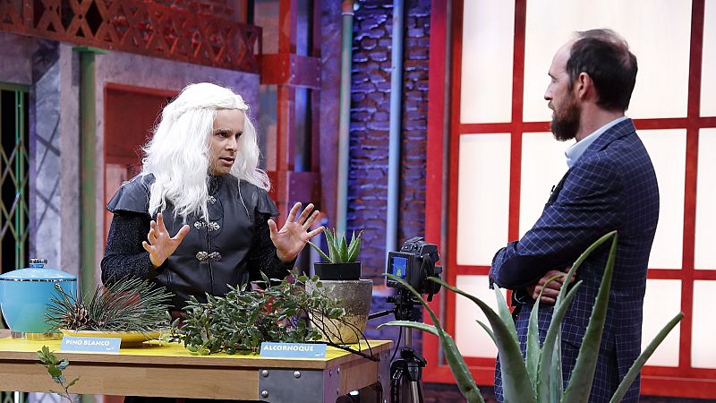 ¿Sabías que existen plantas resistentes al fuego? ¡Son las plantas pirófilas!