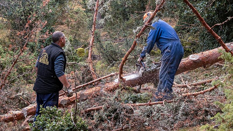 El Gobierno impulsa los contratos indefinidos en Soria, Teruel y Cuenca contra la despoblación: bajará las cotizaciones