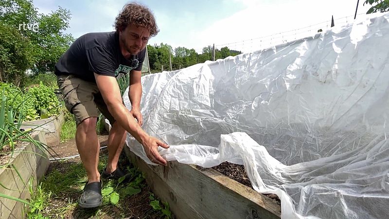Aprèn a construir un mini hivernacle a casa