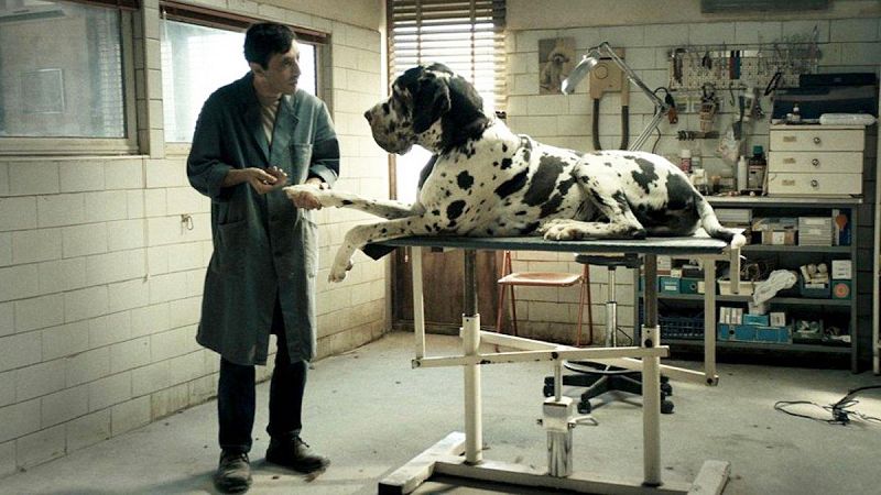 'Dogman': ¿cuál es la historia real? Todo sobre el delito del Canaro, el crimen que inspiró la película