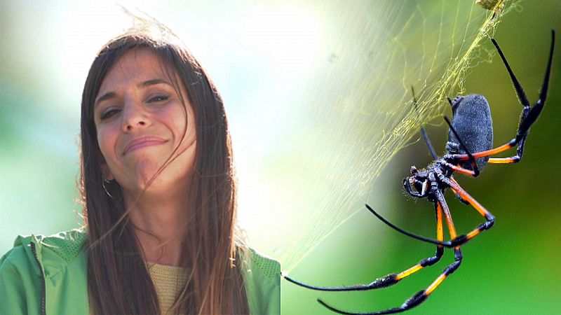 Evelyn Segura: Cmo un rodaje me ayud a superar mi fobia a las araas