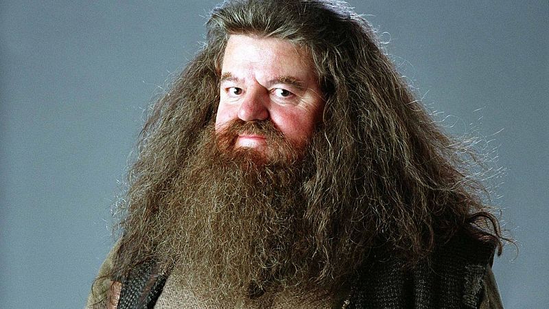 5 motivos por los que Hagrid es importante en la saga de Harry Potter