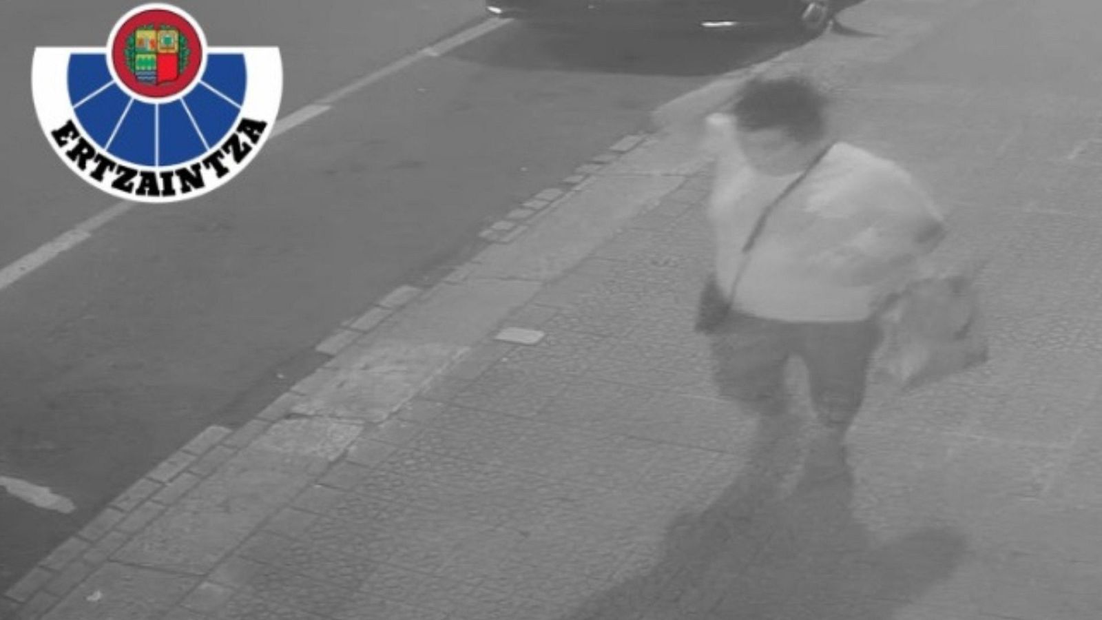 Localizado el bebé secuestrado en Bilbao, "aparentemente se encuentra en buen estado de salud" - Ver ahora