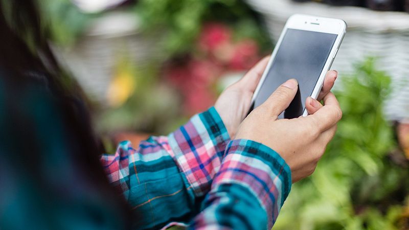 Interior enviará alertas a los móviles desde el lunes para ensayar un protocolo de aviso rápido de catástrofes