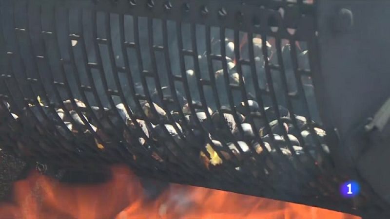 Malgrat la calor, és temps de castanyes