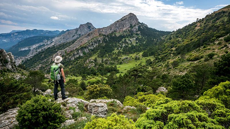 Alta ocupació turística amb un temps inusual