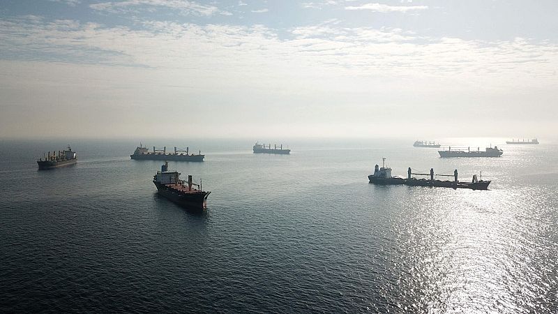 Erdogan pide a Putin reactivar el acuerdo de exportación de cereales y Rusia exige "garantías reales" a Kiev