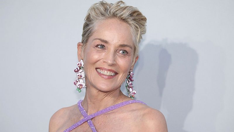 Sharon Stone revela que padece un tumor fibroide de gran tamaño: ¿qué es y cuáles son sus síntomas?