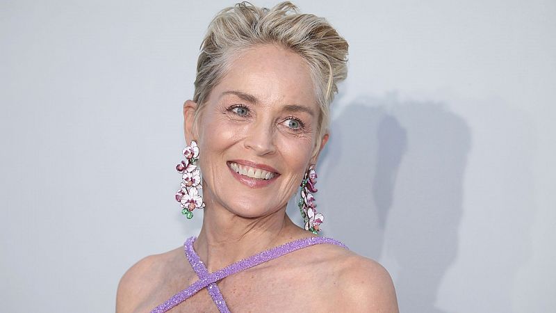Sharon Stone revela que padece un tumor fibroide de gran tama�o: �qu� es y cu�les son sus s�ntomas?