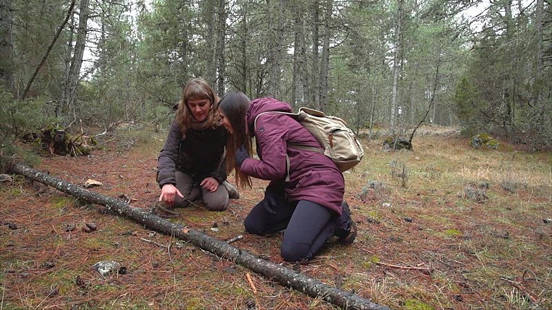 Siguiendo los rastros de la naturaleza