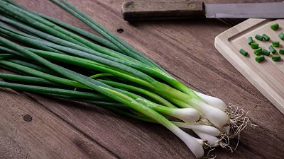 Cebolla china: origen, propiedades y cultivo