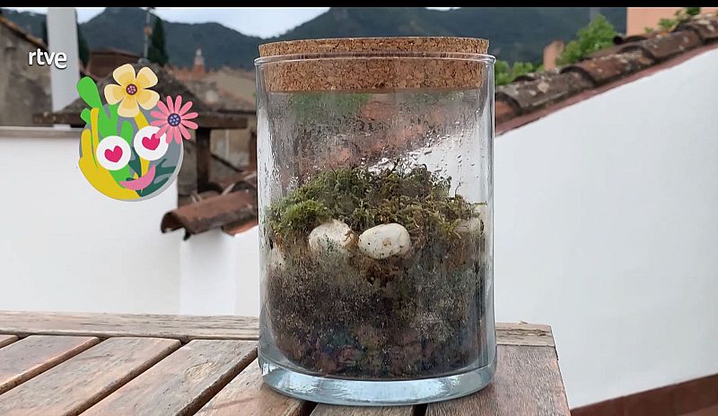 No t'ho creuràs: aquest jardí pot viure mig segle sense que el cuidis