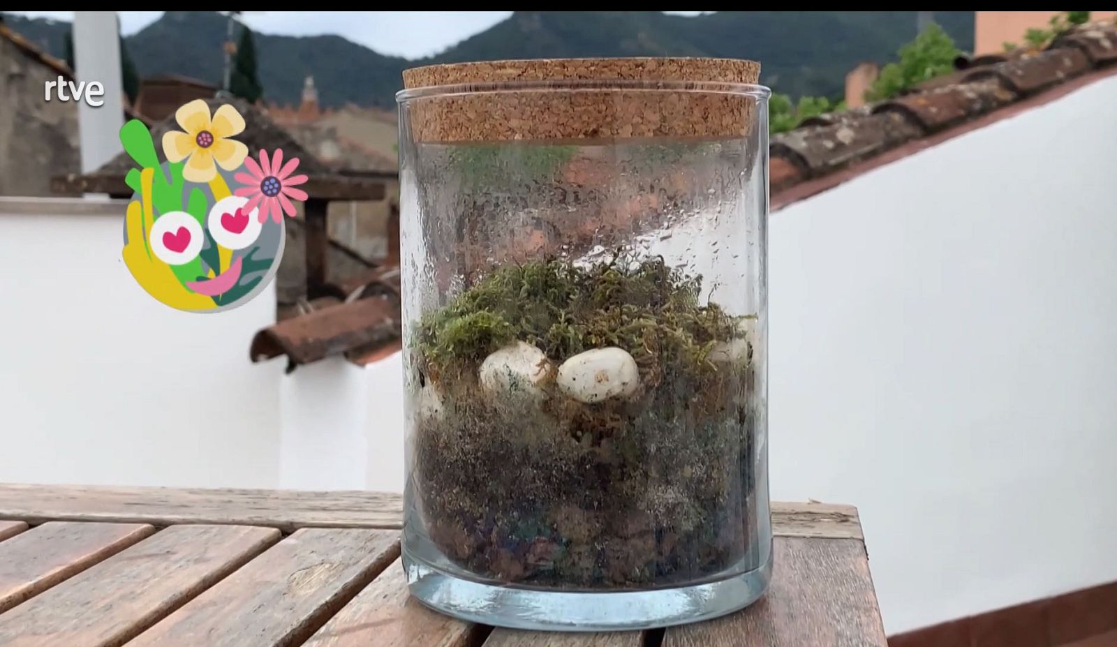 Va de verd - Jardí etern- veure ara