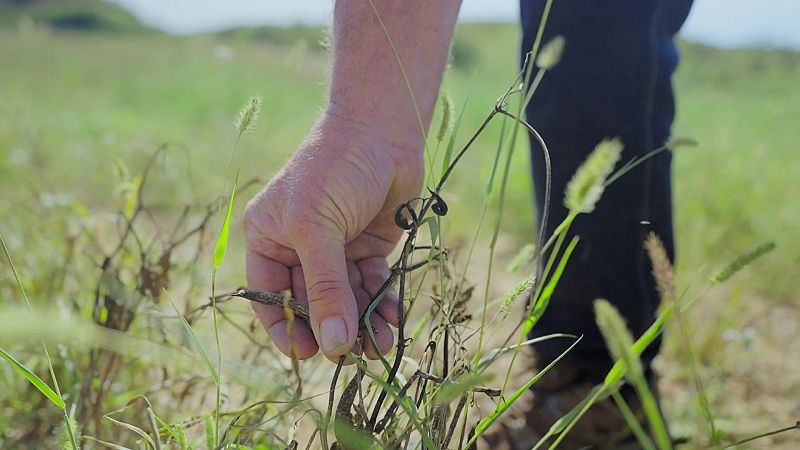 Mongeta de Castellfollit: menys coneguda que la del Ganxet però igual de bona.