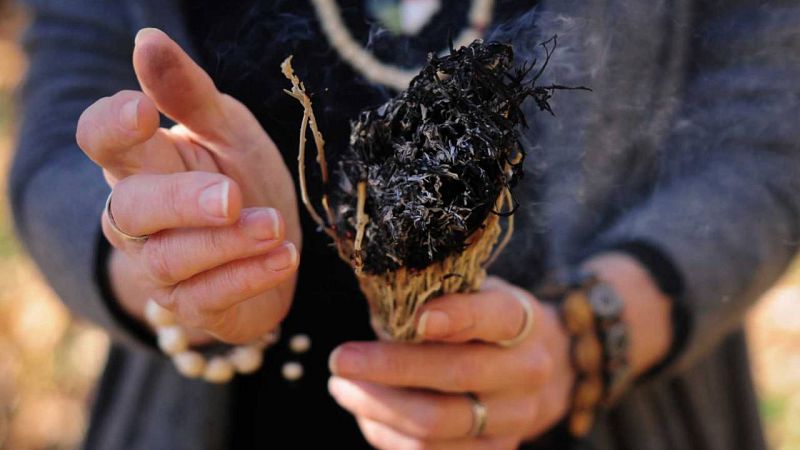 L'ayahuasca: "Passava d'estar content a estar trist de manera extrema"